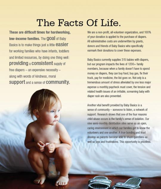 Baby Basics Brochure Panel 1
