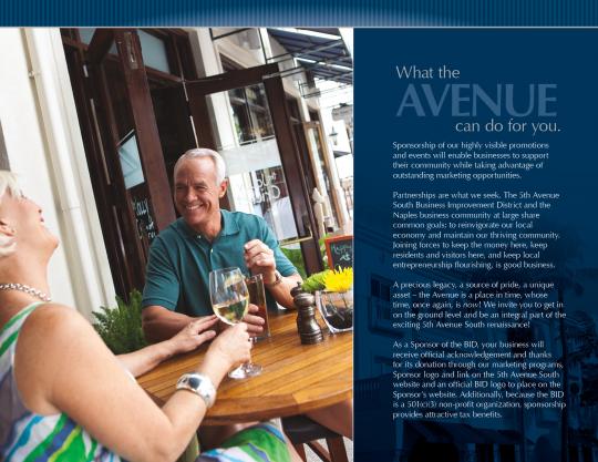 5th Avenue South Corporate Sponsorship Brochure