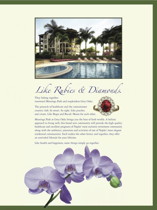 Moorings Park at Grey Oaks Brochure - P1